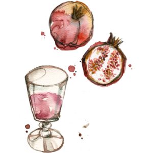 aldraws fashion digital illustration food pomegranate fruit